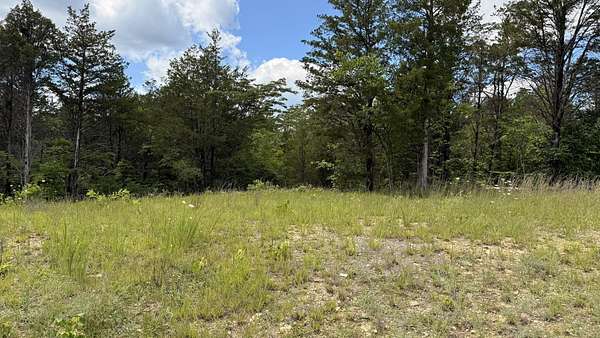 5.3 Acres of Residential Land for Sale in Bulls Gap, Tennessee