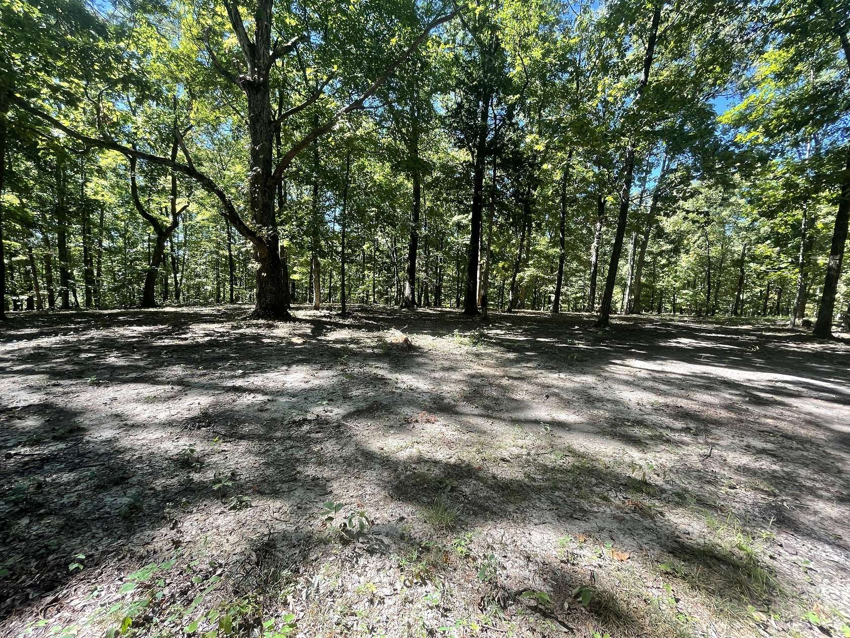 11.7 Acres of Land for Sale in Newport, Tennessee