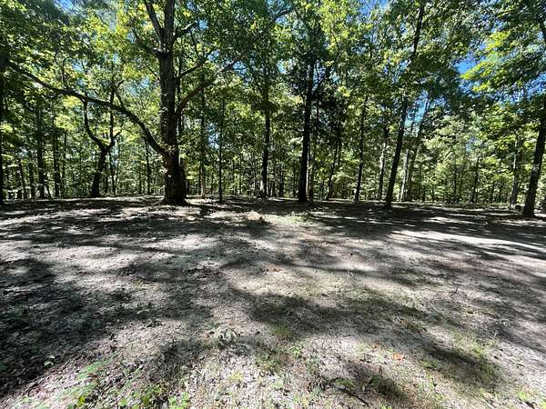 11.7 Acres of Land for Sale in Newport, Tennessee