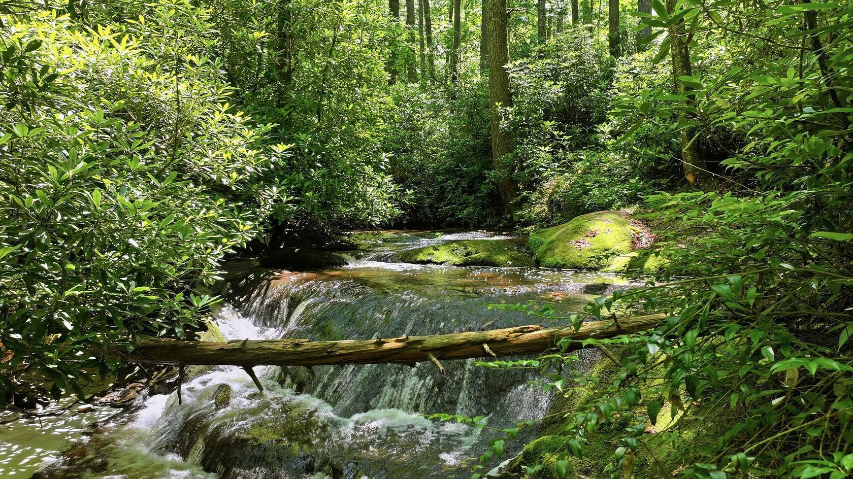 1.66 Acres of Residential Land for Sale in Cashiers, North Carolina