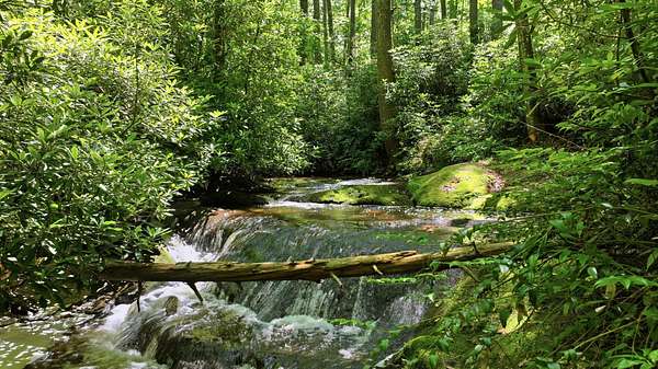 1.66 Acres of Residential Land for Sale in Cashiers, North Carolina