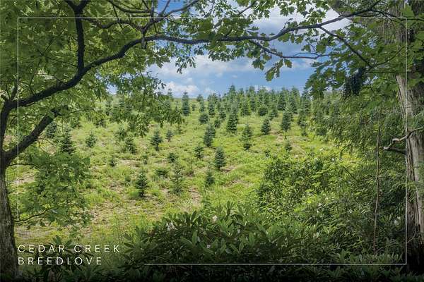 1.69 Acres of Residential Land for Sale in Glenville, North Carolina