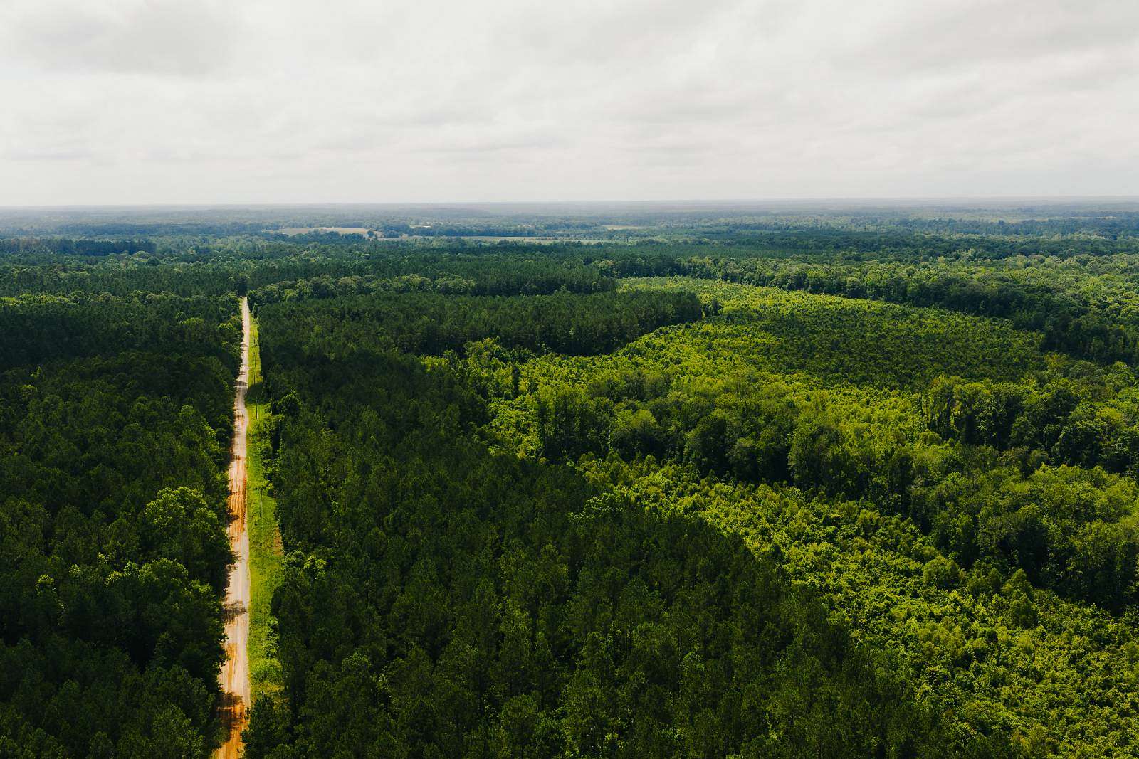 149 Acres of Land for Sale in Newton, Mississippi