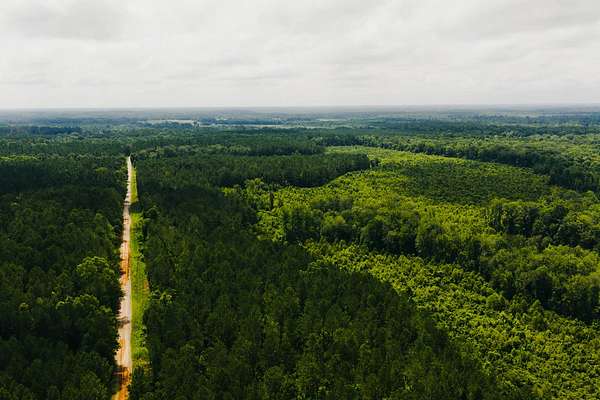 149 Acres of Land for Sale in Newton, Mississippi