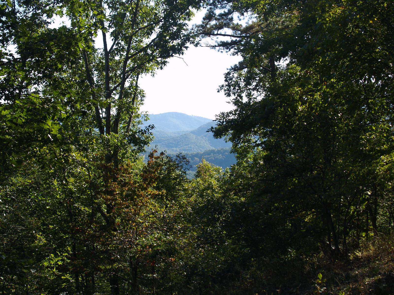 4.62 Acres of Residential Land for Sale in White Sulphur Springs, West Virginia
