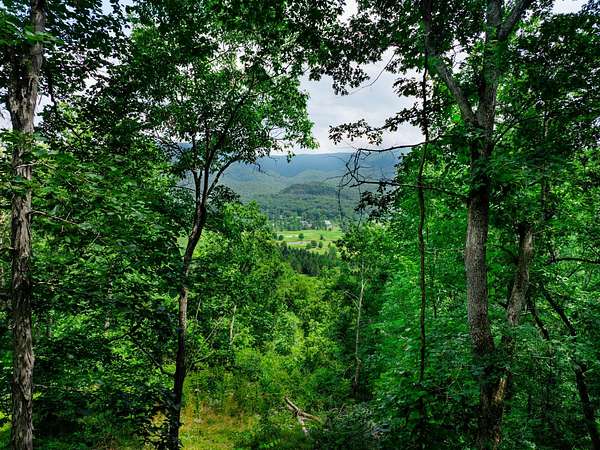 4.62 Acres of Residential Land for Sale in White Sulphur Springs, West Virginia