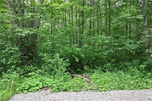0.33 Acres of Land for Sale in Saybrook, Ohio