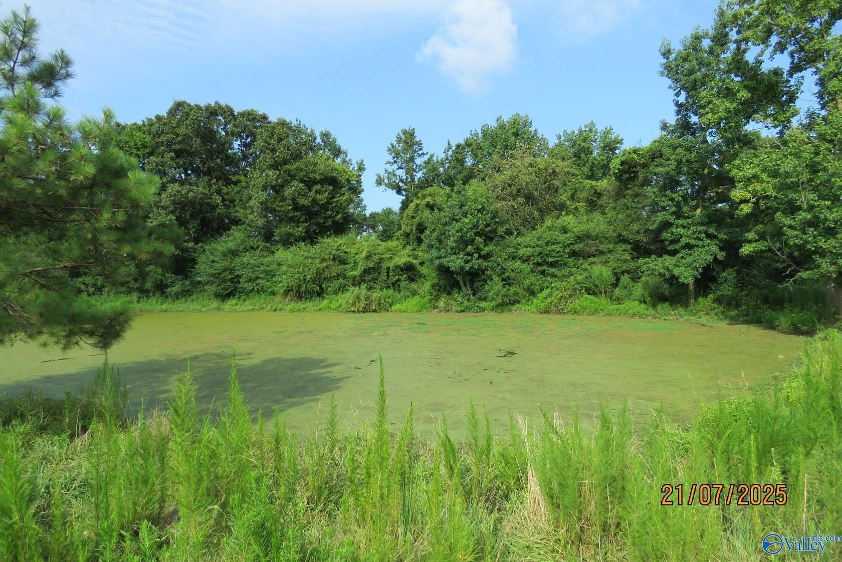 6.2 Acres of Land for Sale in Boaz, Alabama