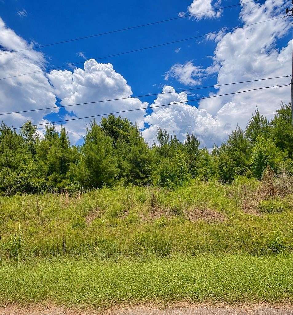 2 Acres of Residential Land for Sale in Picayune, Mississippi