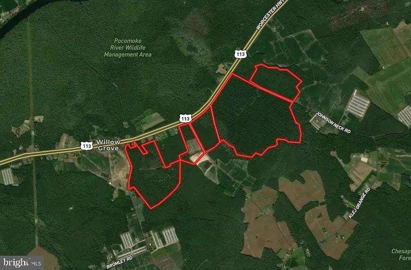 373 Acres of Land for Auction in Pocomoke City, Maryland