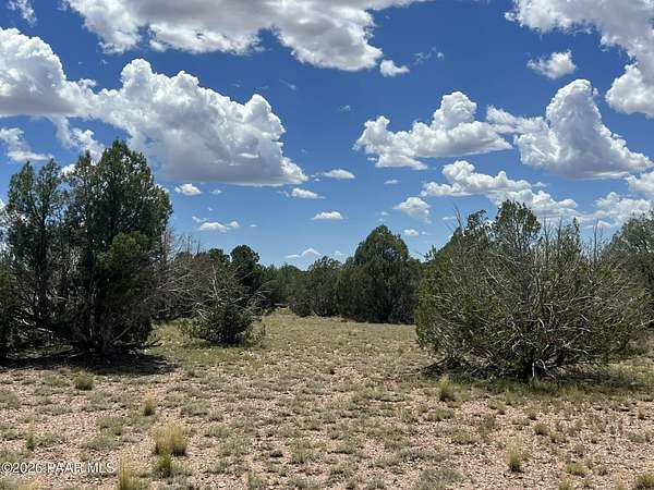 40 Acres of Recreational Land for Sale in Ash Fork, Arizona