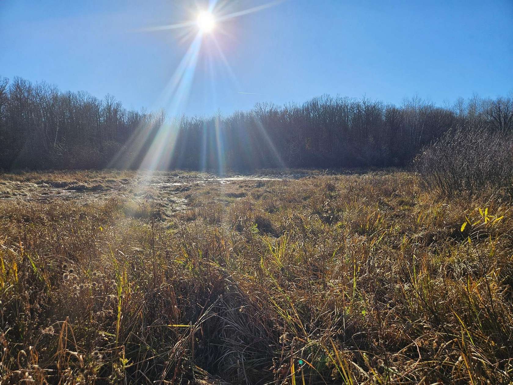 39 Acres of Land for Sale in Waubun, Minnesota