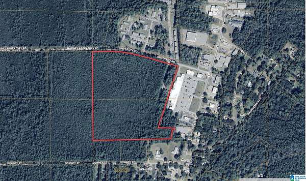 34.6 Acres of Recreational Land for Sale in Bayou La Batre, Alabama