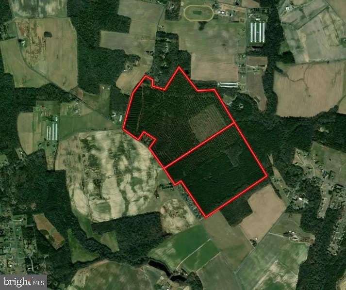 274 Acres of Recreational Land for Auction in Salisbury, Maryland
