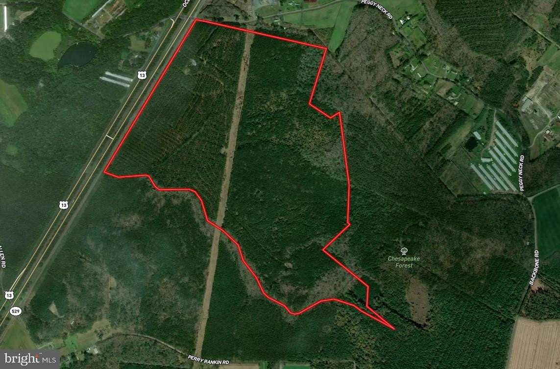 243 Acres of Recreational Land for Auction in Princess Anne, Maryland