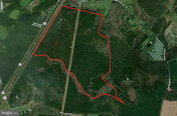 243 Acres of Recreational Land for Auction in Princess Anne, Maryland
