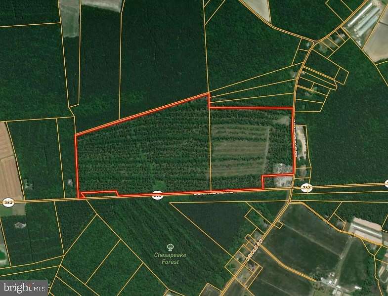 103 Acres of Land for Auction in Princess Anne, Maryland