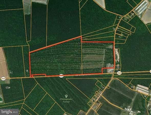 103 Acres of Land for Auction in Princess Anne, Maryland