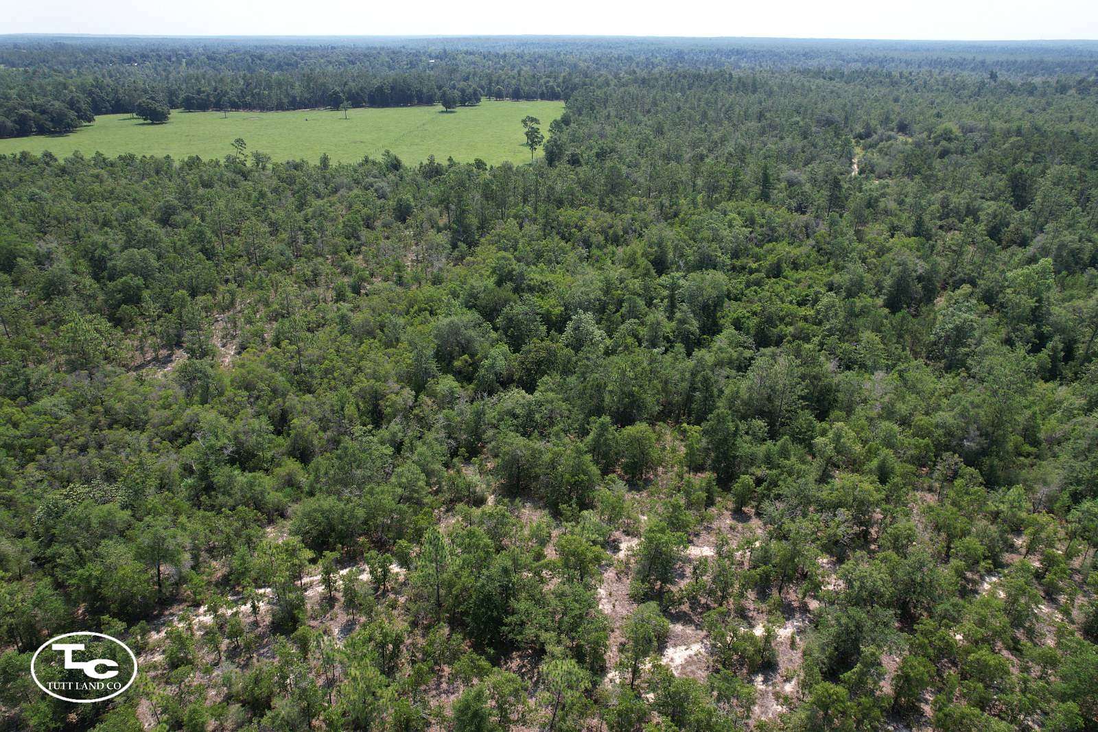 53 Acres of Land for Sale in Fountain, Florida