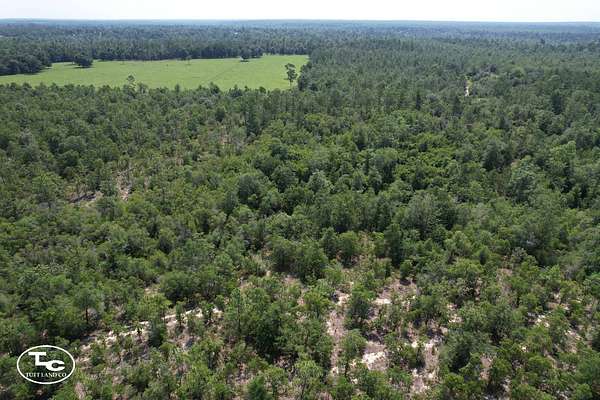 53 Acres of Land for Sale in Fountain, Florida