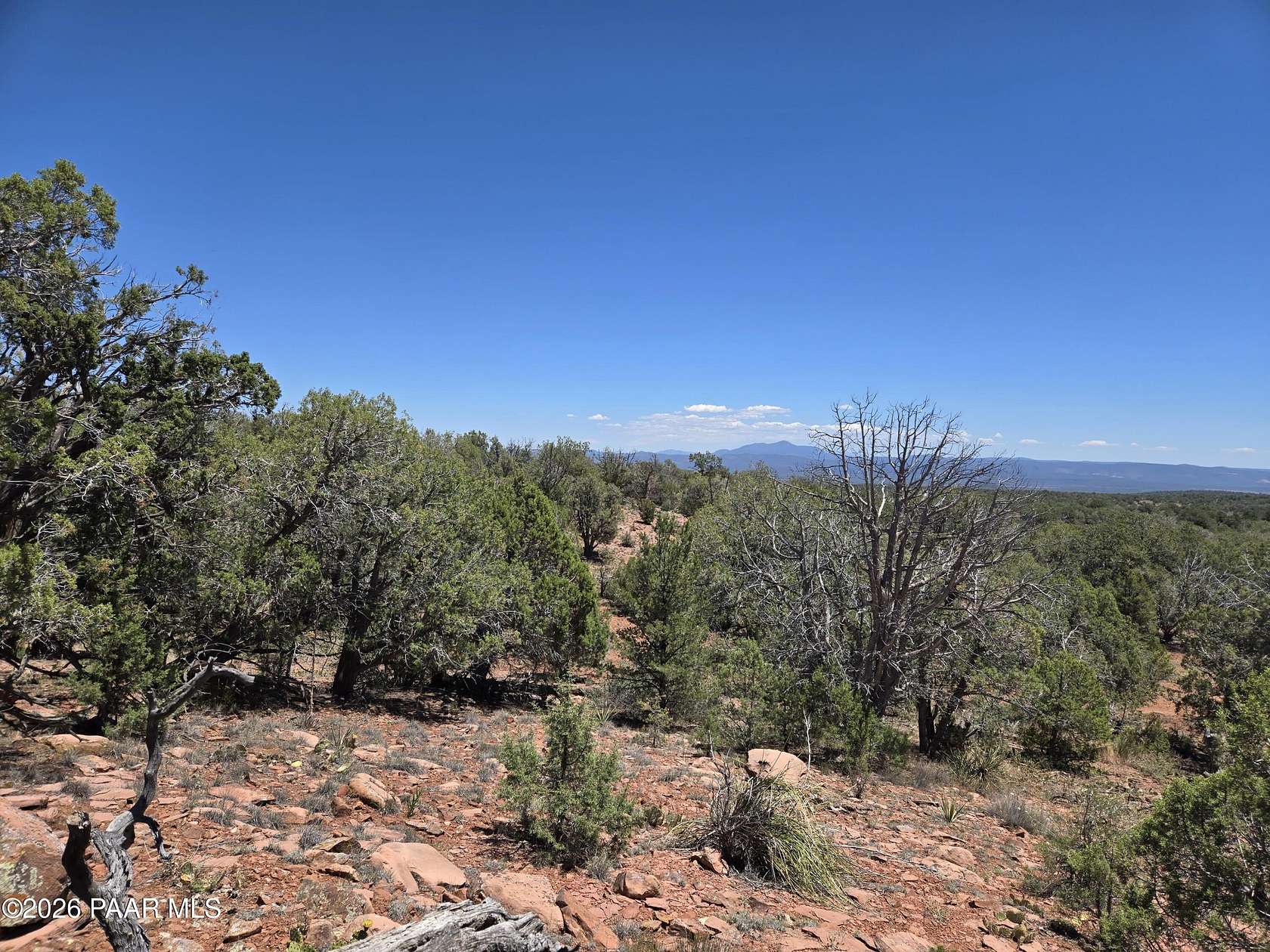 45.4 Acres of Recreational Land for Sale in Ash Fork, Arizona