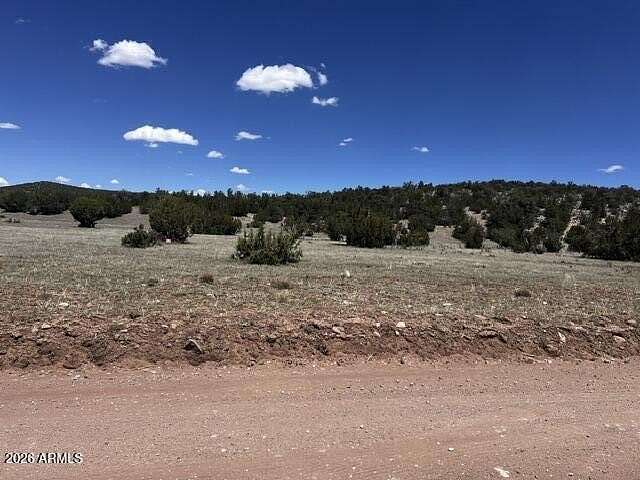 45 Acres of Recreational Land for Sale in Seligman, Arizona