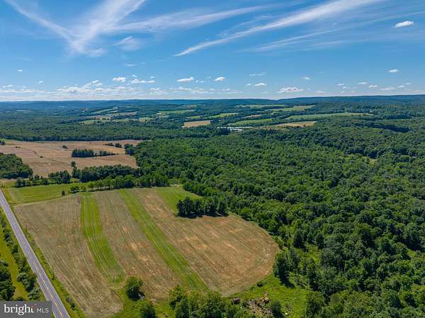 45 Acres of Recreational & Residential Land for Auction in Sunbury, Pennsylvania