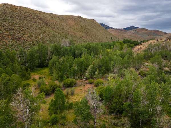 40.7 Acres of Land for Sale in Hailey, Idaho