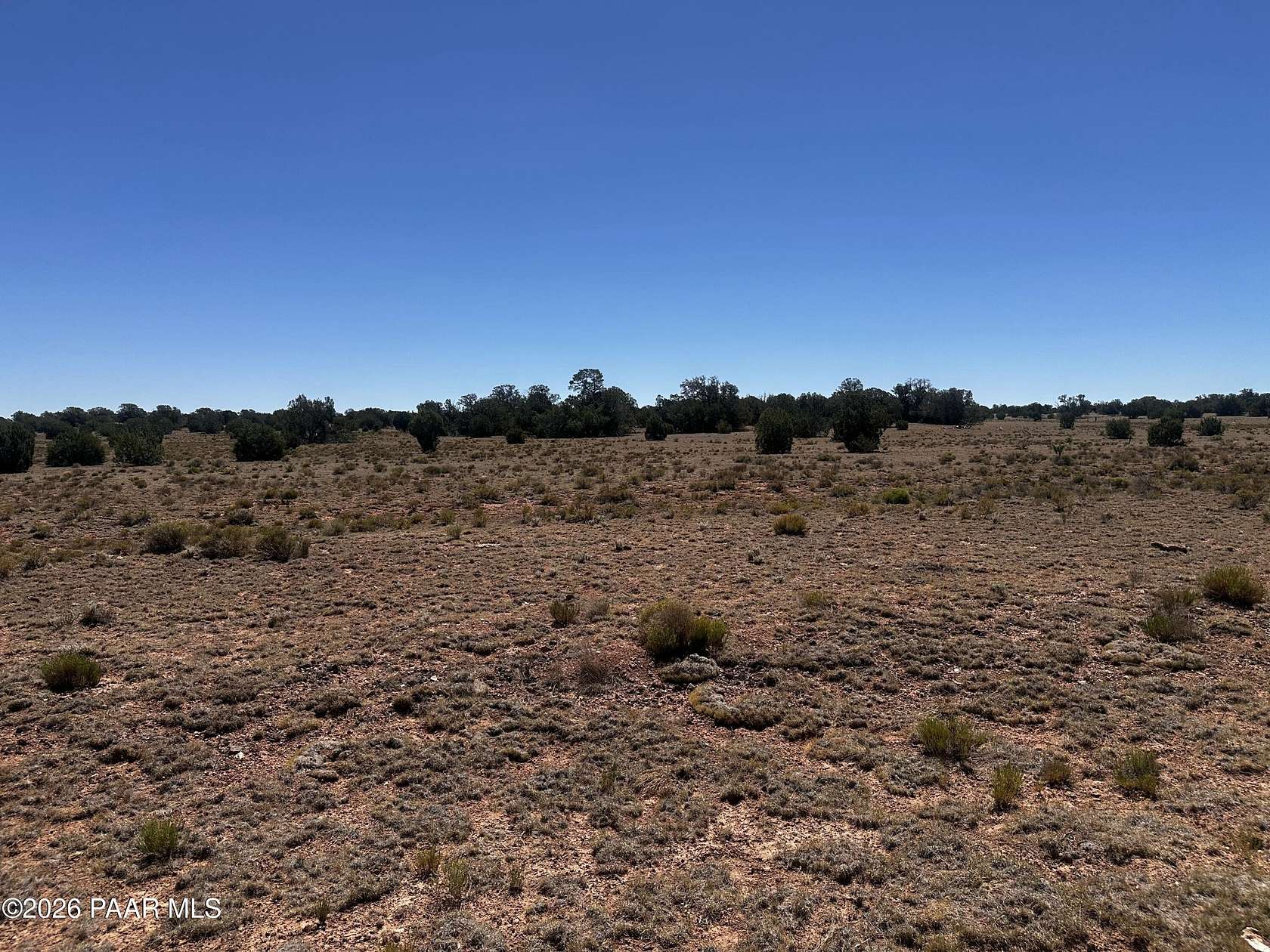 40 Acres of Improved Land for Sale in Peach Springs, Arizona