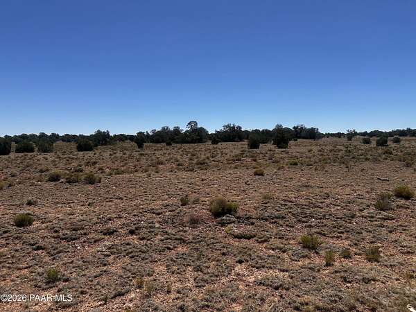 40 Acres of Improved Land for Sale in Peach Springs, Arizona