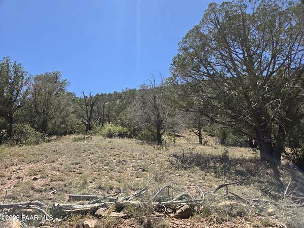 40 Acres of Recreational Land for Sale in Ash Fork, Arizona