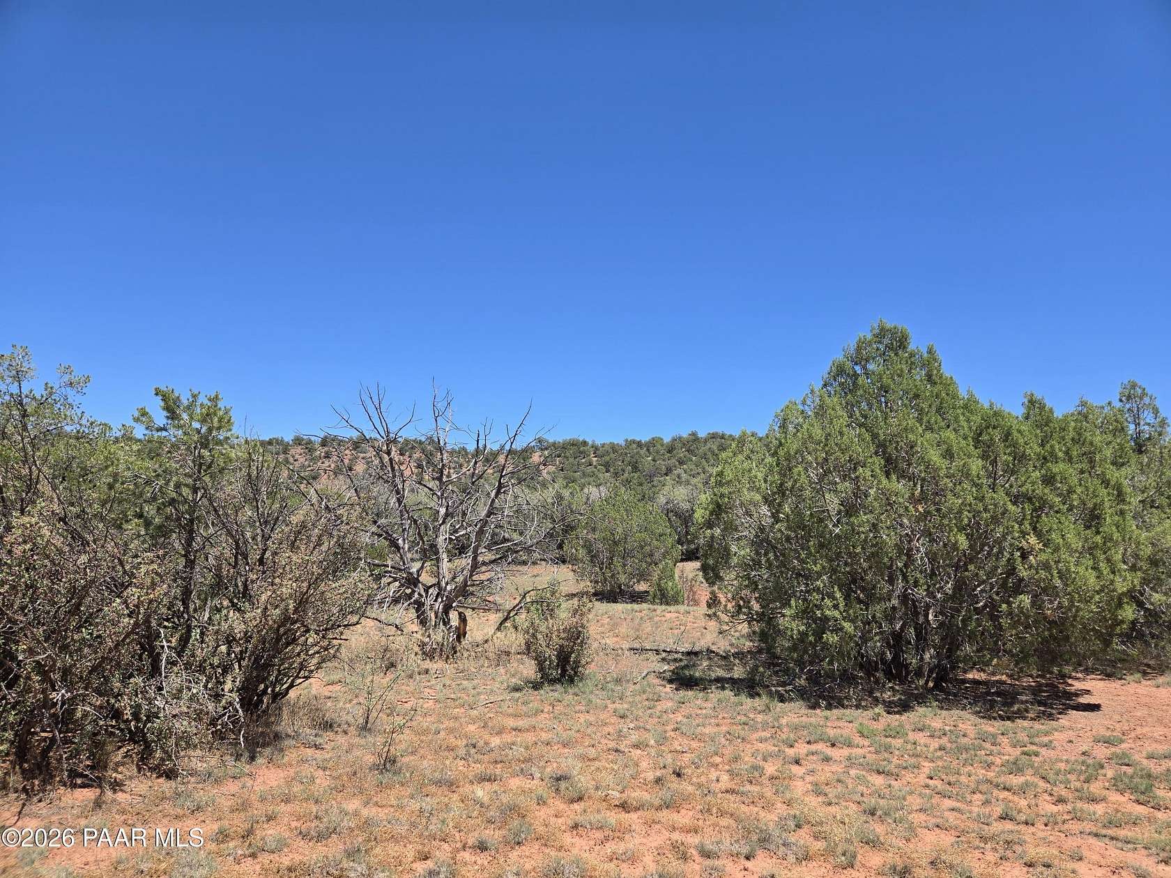 40 Acres of Recreational & Residential Land for Sale in Ash Fork, Arizona