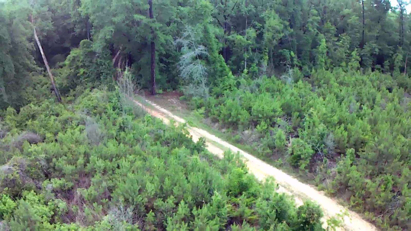 19.2 Acres of Recreational & Residential Land for Sale in Evergreen, Alabama