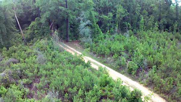 19.2 Acres of Recreational & Residential Land for Sale in Evergreen, Alabama