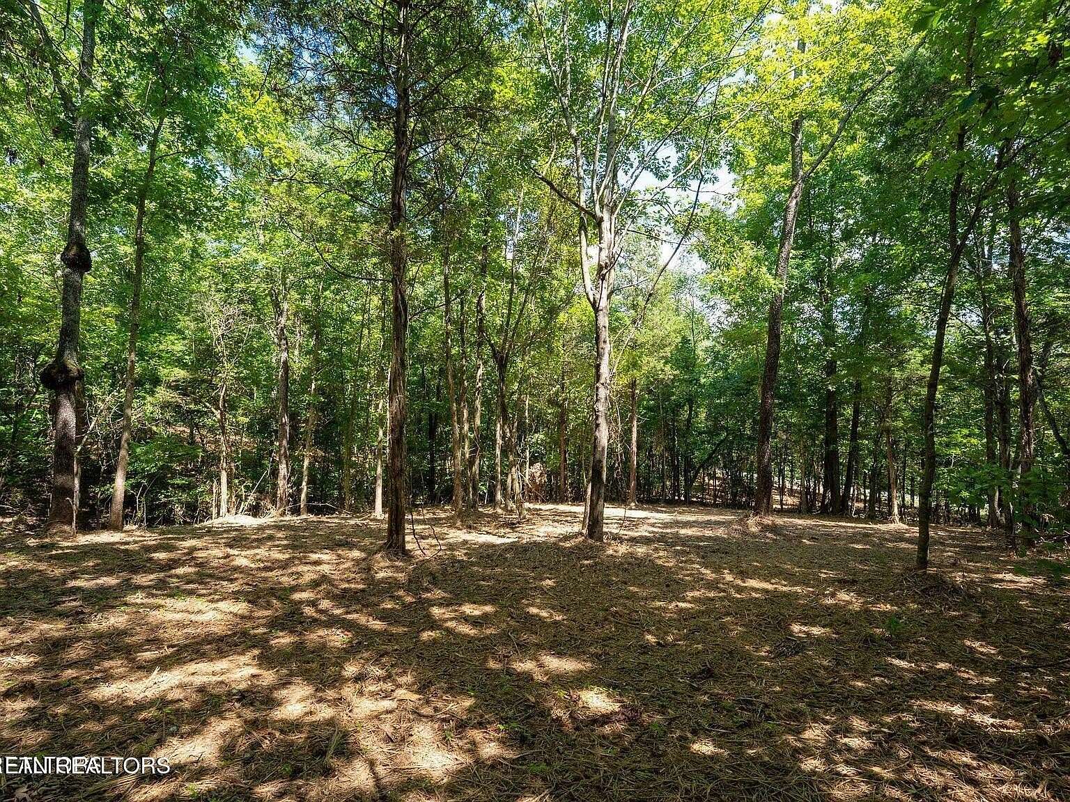 1.2 Acres of Residential Land for Sale in Loudon, Tennessee