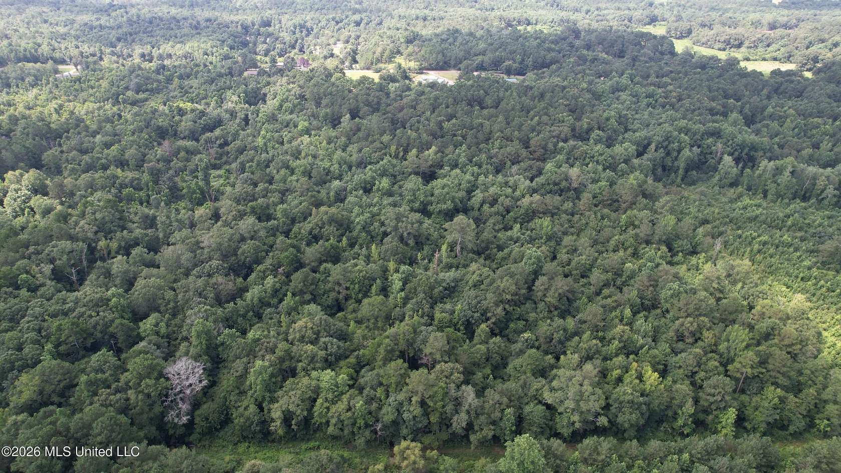 8 Acres of Land for Sale in Collins, Mississippi