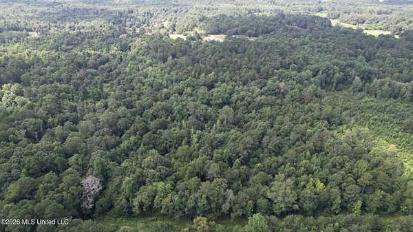 8 Acres of Land for Sale in Collins, Mississippi