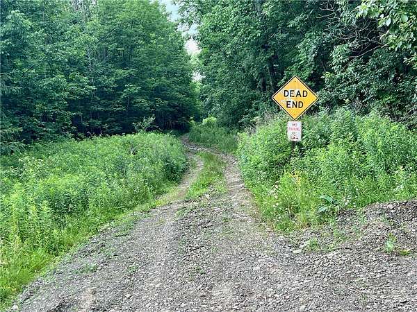 32.8 Acres of Recreational Land for Sale in Maryland, New York
