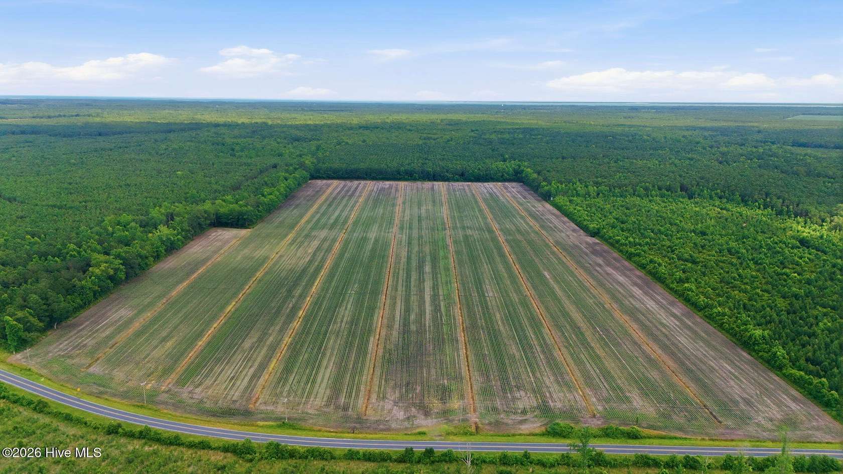 96 Acres of Recreational & Residential Land for Sale in Merritt, North Carolina