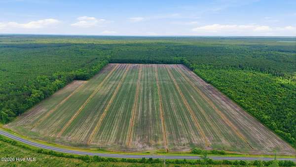 96 Acres of Recreational & Residential Land for Sale in Merritt, North Carolina