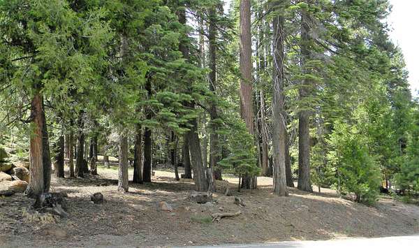 0.59 Acres of Residential Land for Sale in Lake Almanor Country Club, California