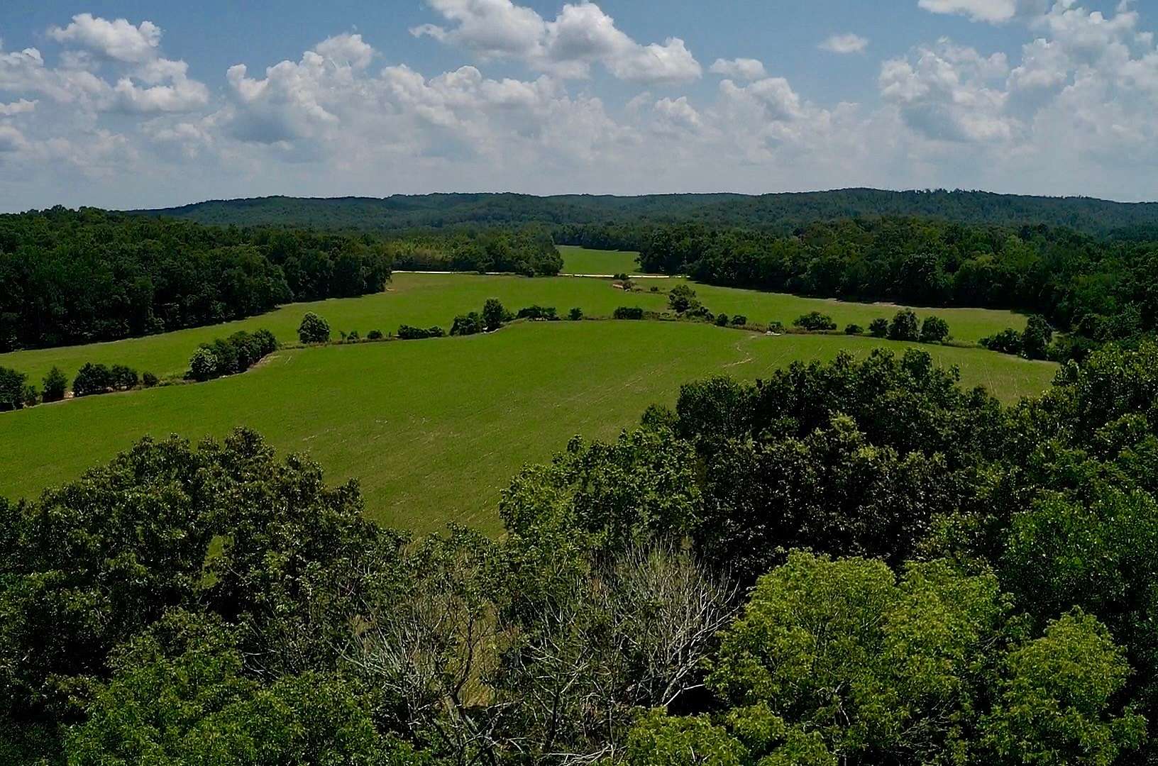 86 Acres of Land for Sale in Decaturville, Tennessee