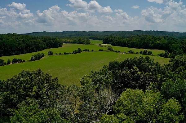 86 Acres of Land for Sale in Decaturville, Tennessee