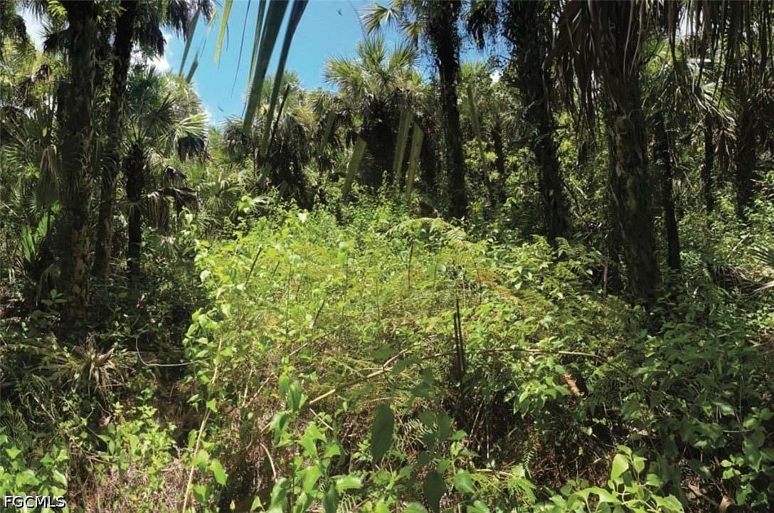 5 Acres of Residential Land for Sale in Naples, Florida