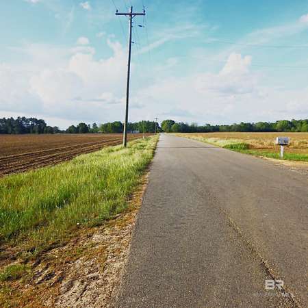 39 Acres of Land for Sale in Atmore, Alabama