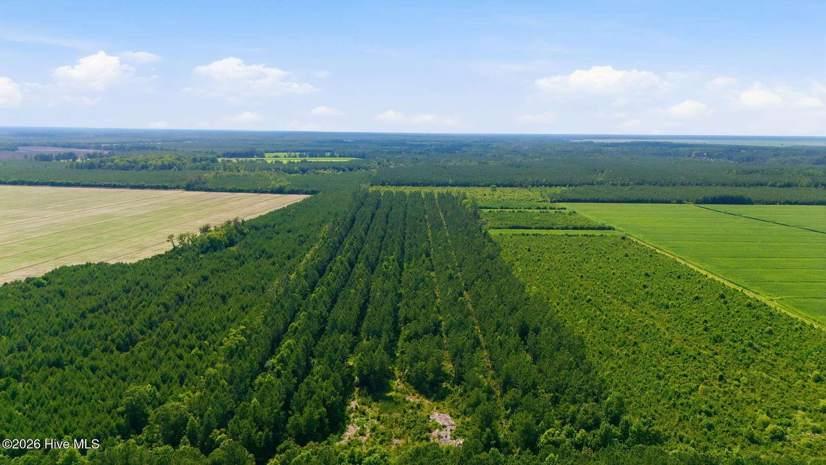 33 Acres of Land for Sale in Stonewall, North Carolina