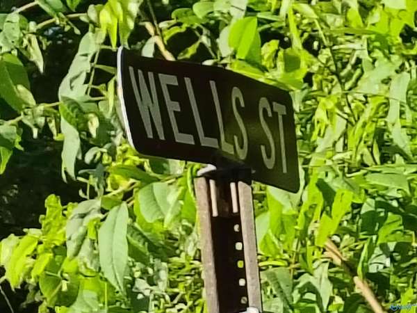 0.59 Acres of Land for Sale in Mentone, Alabama