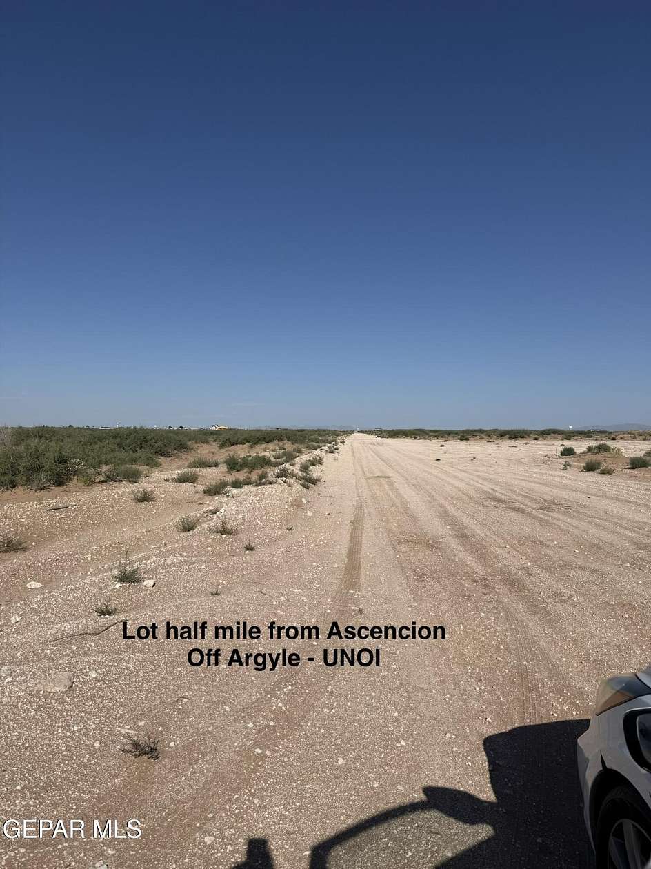 0.46 Acres of Land for Sale in Horizon City, Texas