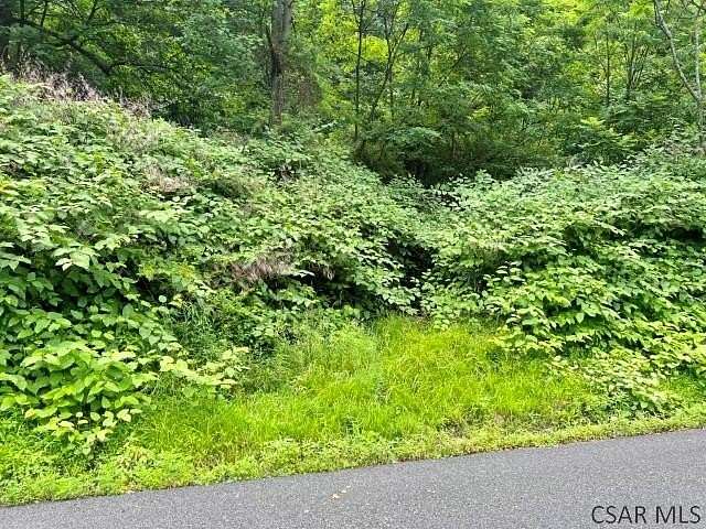 1 Acre of Residential Land for Sale in Johnstown, Pennsylvania