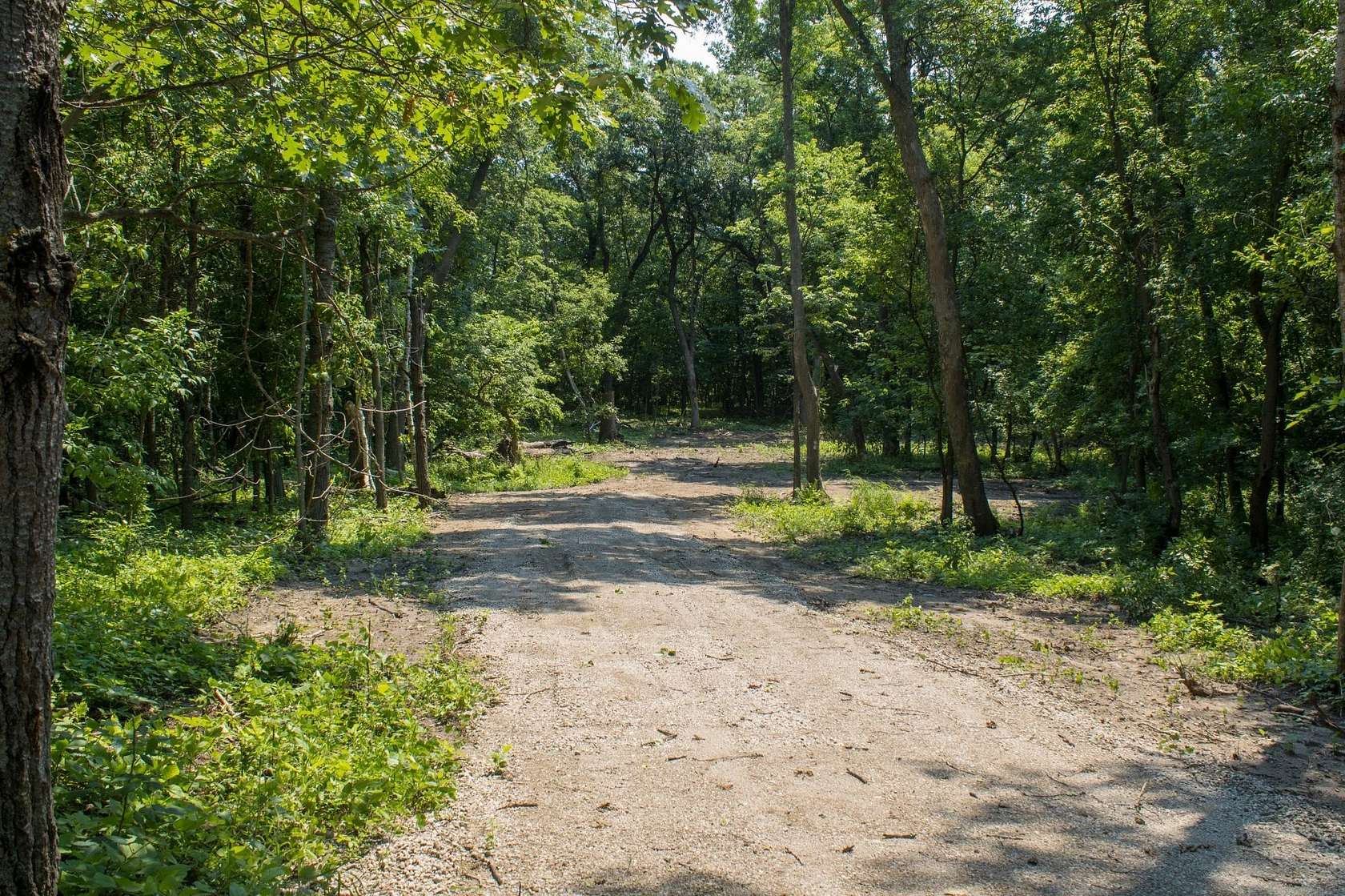 5.38 Acres of Residential Land for Sale in South Haven, Minnesota
